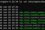 Nginx Cache Purge Module install