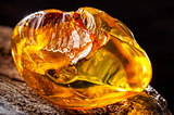 Close-up image of a piece of amber, glowing in shades of yellow and orange, encasing remnants of prehistoric material.