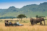 For Americans: Best National Parks to Visit in Kenya From USA