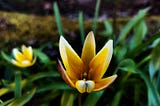 Spiritual Self-Refinement: Gems of Practical Guidance