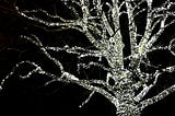 A tree covered in small decorative lights against the night sky.