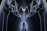 Managing Prostate Problems: Strategies for Optimal Health — Dr. Pravesh Gupta, Urologist