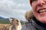 The Second Best Show About a Reindeer You’ll See This Year