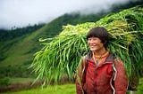 What does Bhutan get right about happiness?