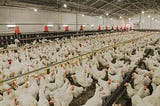 Proposed USDA Rule Would Increase Transparency in Poultry Industry