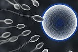 Human Egg Cells Choose the Sperm Cell that Fertilizes Them