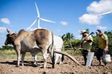 The Dirty Side of Clean Energy: Environmental Injustice and Wind Energy in Oaxaca, Mexico