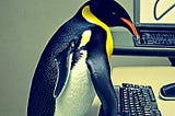 A picture of a penguin typing on a keyboard. The image was geneated via Stable Diffusion.