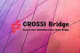 Introducing CROSSI Bridge