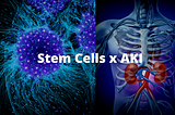 Stem Cells: The Future of Kidney Diseases