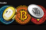 Top Crypto Performers of 2025 and What Drove Their Growth?