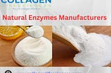 “Exploring the Applications and Market Growth of Natural Enzymes: Insights from Top Manufacturers”