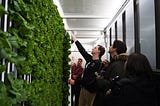 A group of people looking at the vertically growing plants inside a Freight Farm, with one showing the others how it works.