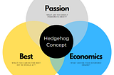 Concept Summary: The Hedgehog Concept