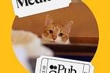 Orange and white cat looking directly at you with the “Medium Pub Crawl” stickers at the borders.