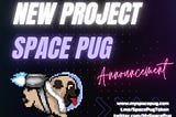 Space Pug — New P2E game token joins the Fungie DAO Family, exclusive interview and details of the…