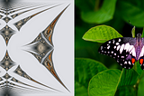 A BUTTERFLY IN THE QUANTUM WORLD