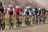 Predicting winners in cycling races with Machine Learning