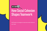 In-Depth: How Social Cohesion Shapes Teamwork And How To Improve It