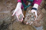 Seeing the world through soils