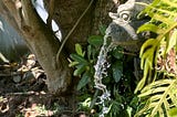 Greenery and a fountain where water burbles from stone statue’s mouth