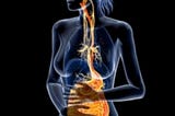 Leaky Gut, the Vagus Nerve, and Why Your Metabolism Depends on Both