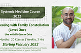 The Systemic Medicine Course: Trauma Healing with Family Constellation