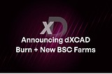 dXCAD Burn + Next Steps
