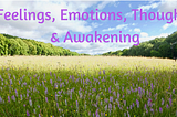 Feeling, Emotions, Thoughts & Awakening