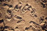 (GC)“Don’t listen to what people say, watch where their feet are going”*