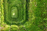 Train Tree Tunnel, Urkraine