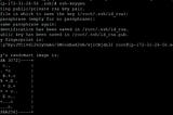 Tutorial : How to configure Ansible on the top of AWS.