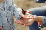 Photograph of a young girl holding a butterfly in her outstretched hand. The child’s mother is cupping her hand below the child’s.