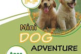 Dog Mini Adventure cover