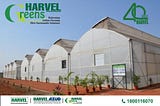 harvelgroup greenhouse