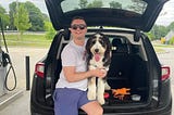 Dr. William Kemp in the back of the car with his sheepadoodle Quinn