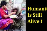 Does materialistic life deviate humanity?