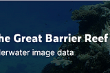 Amazon SageMaker Object Detection for Protecting the Great Barrier Reef