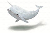 I, Herman Melville, Ask That You Please Stop Teaching My Bloated Whale Encyclopedia to High…