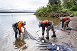 Three people stand on a riverbank to haul in a large fishing net