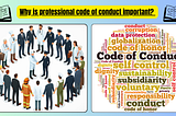 Why is professional code of conduct important?