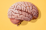 Why You Should Strengthen Your Brain Now