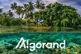 Marshall Islands to leverage algorand and launch it’s own digital currency