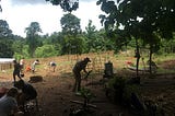 A permaculture plot for Mong Kong, Thailand