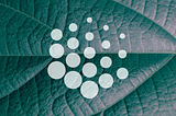 Improve Sustainability Reporting with Compellio’s Digital Product Passport Solution