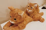 Cat finds comfort in her sister’s stuffed animal look-alike