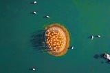 The gap between the Circular Economy and Design