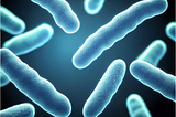 Close-up digital illustration of rod-shaped bacteria with a blue, textured surface floating in a dark background, resembling pathogenic bacteria seen under a microscope.