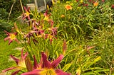 Smoke Flows Above the July Garden