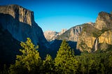 A Tunnel View